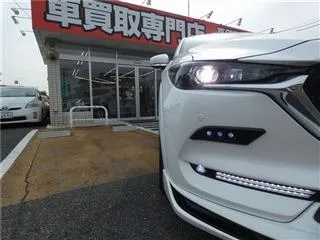 20250524152529.jpg