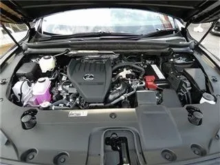 20250919154522_7.jpg
